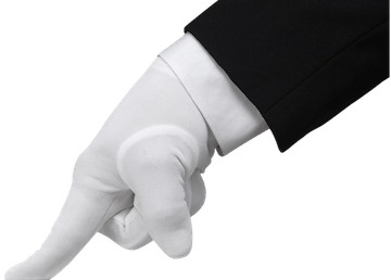 Naples Moving Companies, Naples Movers, Bonita Springs Movers, Bonita Springs Moving Companies, Marco Island Movers, Marco Island Moving Companies, Estero Movers, Estero Moving Companies, Hilton Moving and Storage, Naples Movers, Naples Moving Companies, Naples Moving and Storage, Moving Companies, Best Naples Moving Companies, Marco Island Movers, Marco Island Moving Companies, Bonita Springs Movers, Bonita Springs Moving Companies, Naples Receiving and Delivery, Estero Movers, Estero Moving Companies, Naples long distance moving company